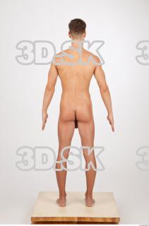 Body texture of Rufus 0043